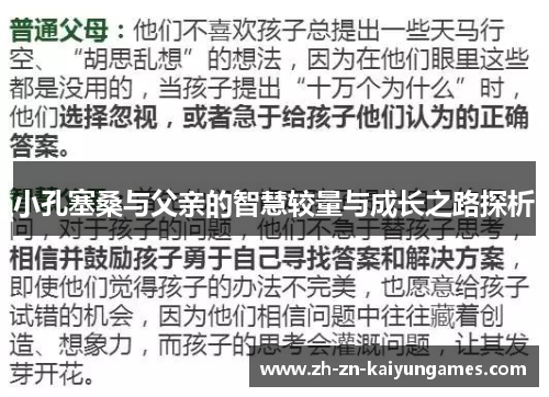 小孔塞桑与父亲的智慧较量与成长之路探析