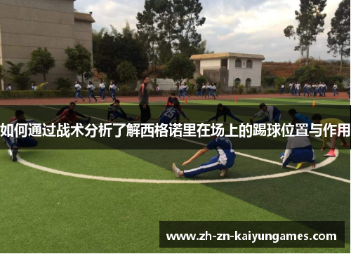 如何通过战术分析了解西格诺里在场上的踢球位置与作用