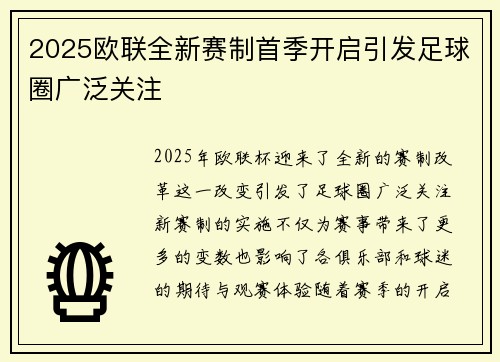2025欧联全新赛制首季开启引发足球圈广泛关注